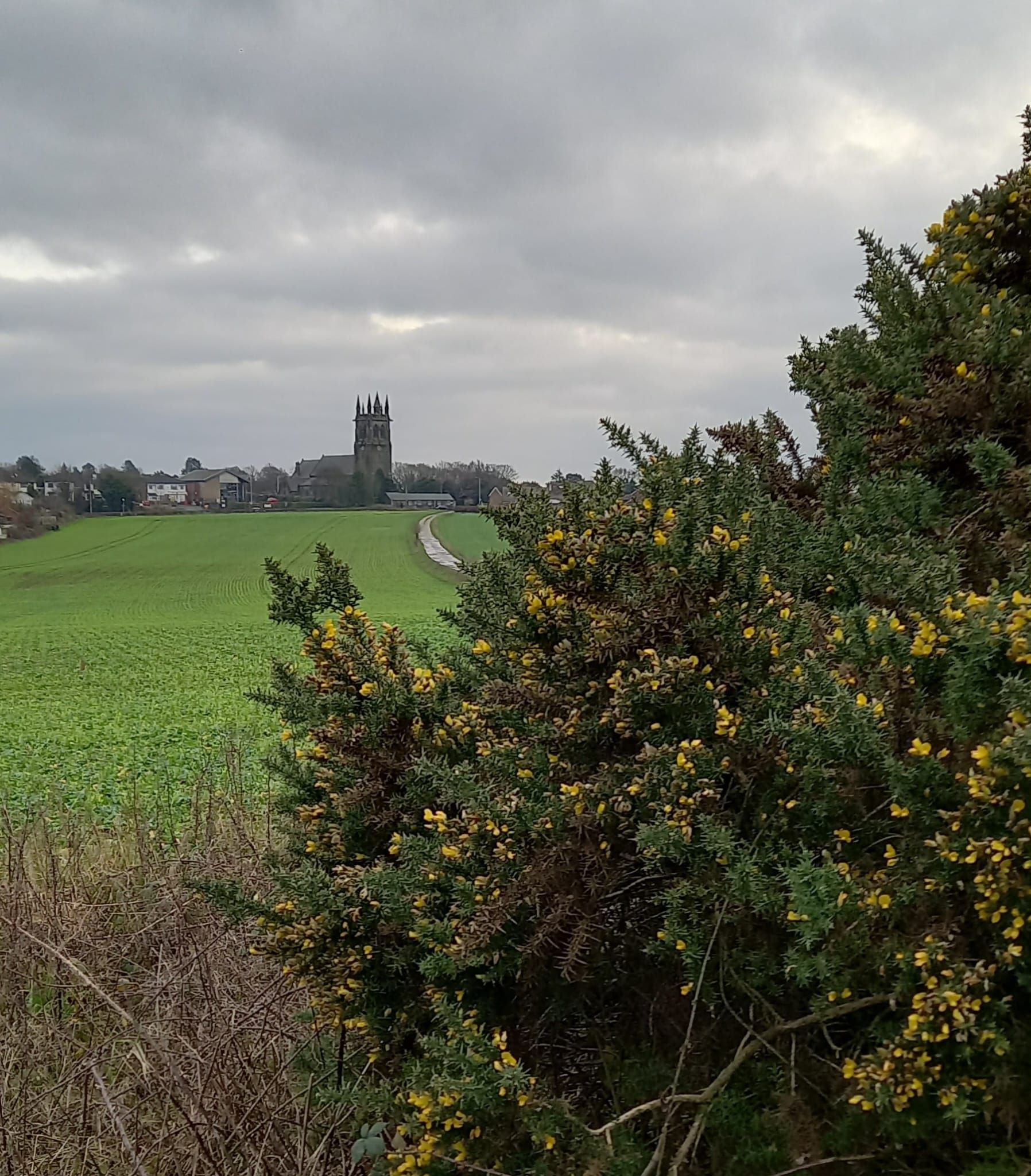 Church in the distance